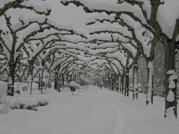 Resultado de imagen de nevada en burgos 26 diciembre